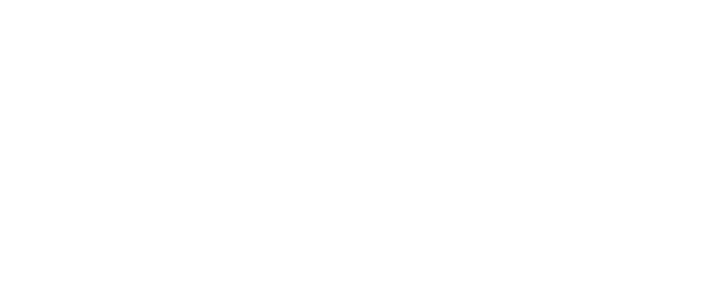 Anna Nieczaj